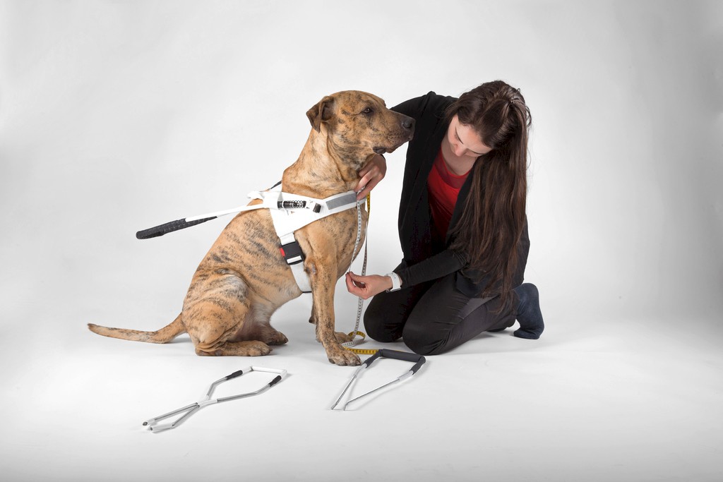 Sam – Führgeschirr für Blindenhunde